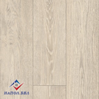 МОРЗИН 508